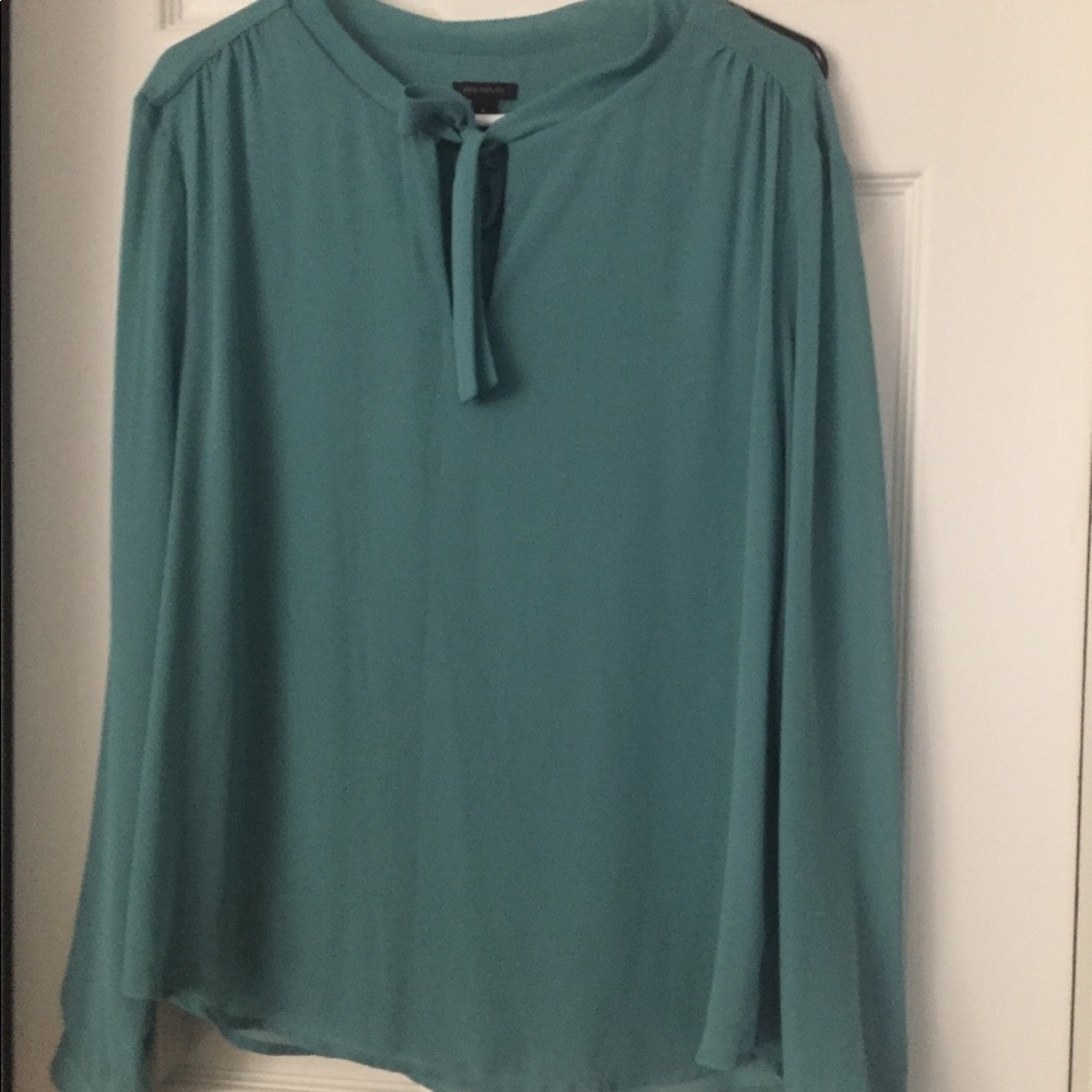 Mint Ann Taylor top